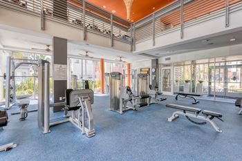 Amenities- fitness center